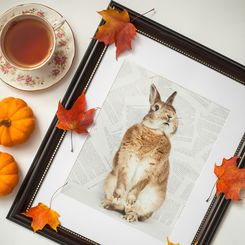 animal nursery art