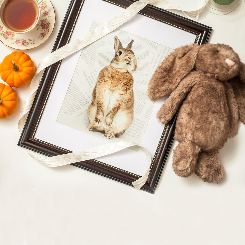 animal nursery art