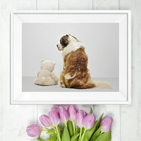 gooseberry-prints-instagram-images-jem-cator-marketing-2