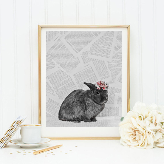 gooseberry-prints-instagram-images-jem-cator-marketing-4
